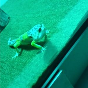 Meet your Posher, Kate